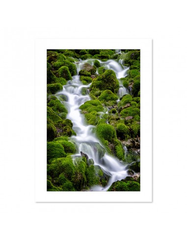 Cascade près du lac de Taney, Suisse acheter en ligne