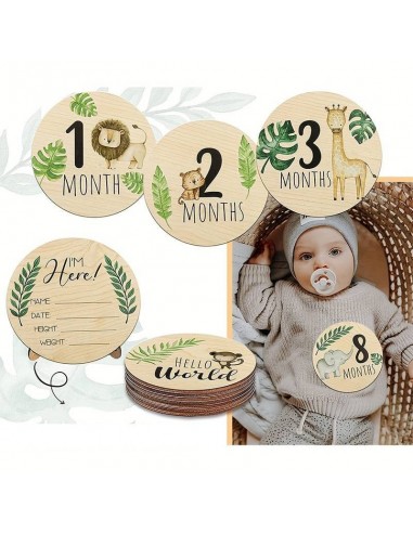 Cartes Mensuelles en Bois pour Bébé Vous souhaitez 