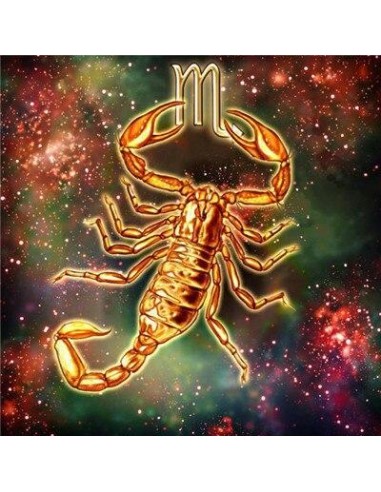 Broderie Diamant Signe Astrologique Scorpion destockage