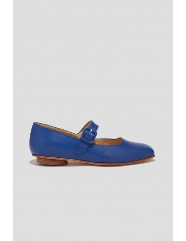 Eugenia Flat in Cobalt 2023