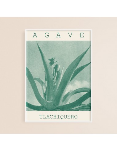 "Agave" gyclee print l'achat 