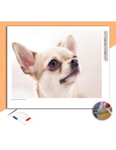 Broderie Diamant Portrait d'un Chihuahua Le MVP de beaucoup