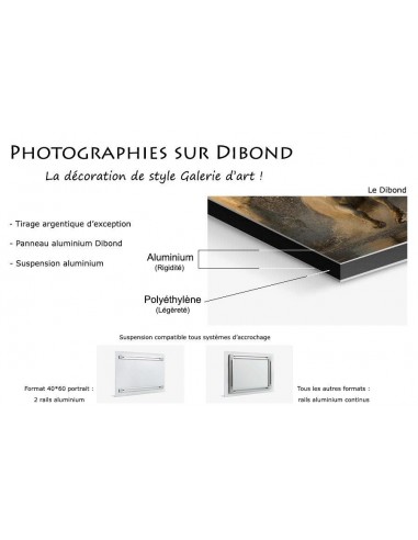 Photographie sur Dibond destockage