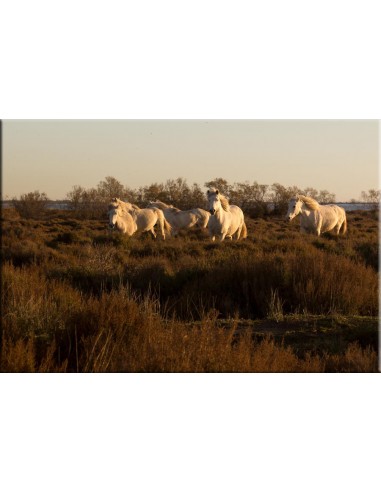 Photographie sur Dibond Les êtres humains sont 