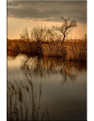 Photographie sur Dibond est présent 