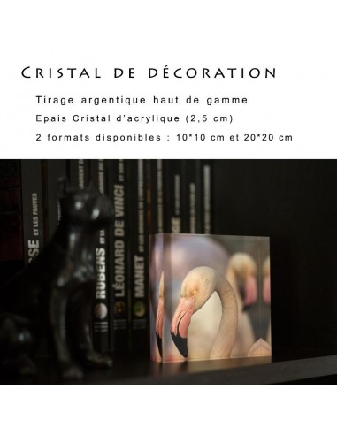 Cristal de décoration Venez acheter