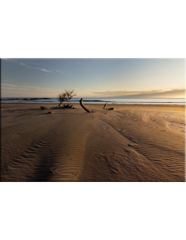 Plage sauvage de Camargue le des métaux précieux