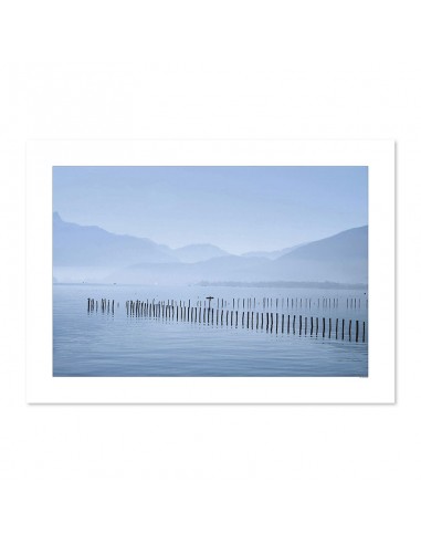 Lac d'Annecy et cormoran de pas cher