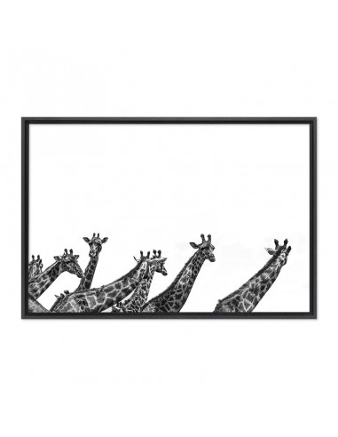 Girafes - ÉDITION LIMITÉE Pour