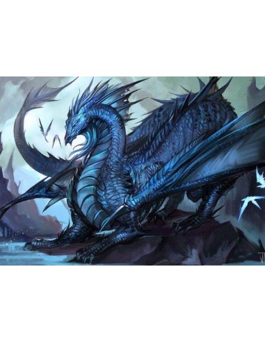 Broderie Diamant Dragon Bleu meilleur choix