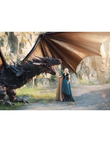 Broderie Diamant Drogon et Daenerys Comparez et commandez 