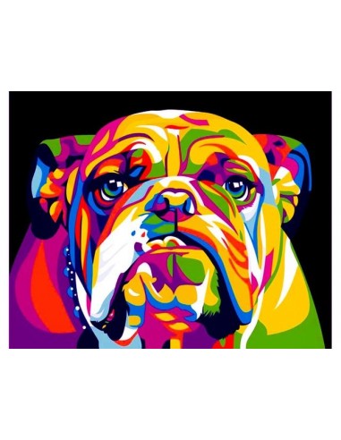 Broderie Diamant Bulldog Multicolore ouvre sa boutique