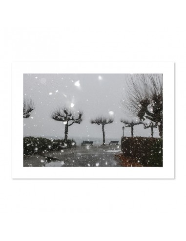 Tempête de neige 4 commande en ligne