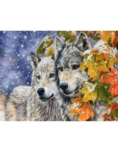 Broderie Diamant Loups Beau Regard ouvre sa boutique