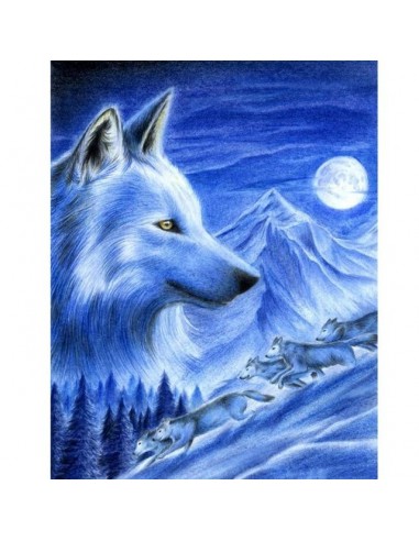 Broderie Diamant Loup des montagnes offre 