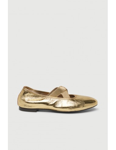 Bettina Ballet Flats in Gold Leather Jusqu'à 80% De Réduction