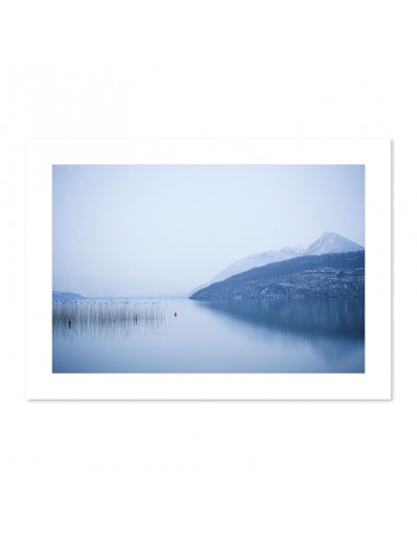 Lac d'Annecy et roseaux livraison gratuite