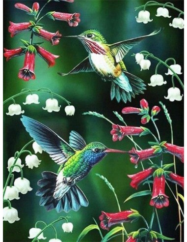 Broderie Diamant Colibris Economisez 